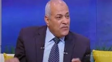 وداعًا للفراخ الحية؟.. قرار رسمي مرتقب بمنع تداول الدواجن وشعبة الإنتاج تكشف شرط التطبيق 1